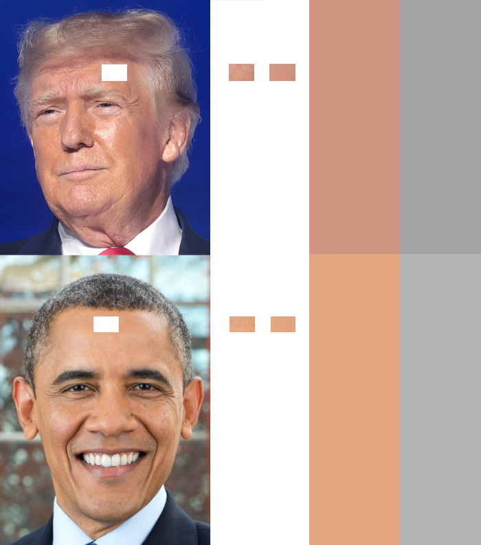Fotos von Donald Trump und Barack Obama, jeweils mit einem kleinen, ausgeschnittenen Bereich auf der Stirn, der eine relativ einheitliche Farbe hat. Diese Farben werden anschließend auf größeren Flächen gegenübergestellt und auch in Graustufen dargestellt, was zeigt, dass Trumps Hautton dunkler ist als jener von Obama.