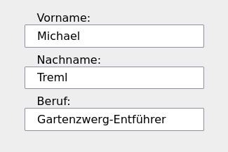 Drei Textfelder mit den Beschriftungen »Vorname«, »Nachname« und »Beruf«, ausgefüllt mit »Michael«, »Treml« und »Gartenzwerg-Entführer«. Die Beschriftungen stehen jeweils in einer Flucht mit dem Text-Inhalt.