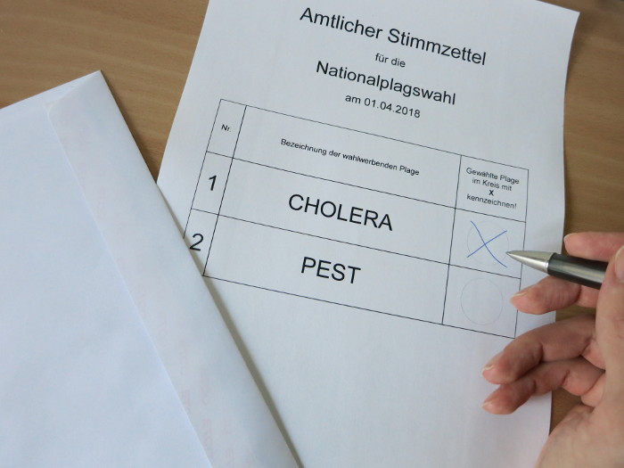 Stimmzettel, auf dem Cholera und Pest zur Auswahl stehen