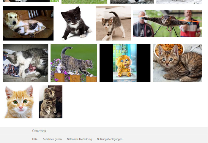 Ende der Google-Bildersuche nach Katzenfotos.