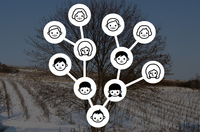Typischer Stammbaum über vier Generationen mit einfachen Strichzeichnungen für einzelne Personen.