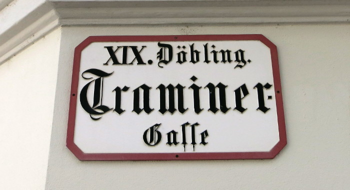 Straßenschild in Fraktur. Zeile 1: »XIX. Döbling.« Zeilen 2 und 3: »Traminer-Gasse«